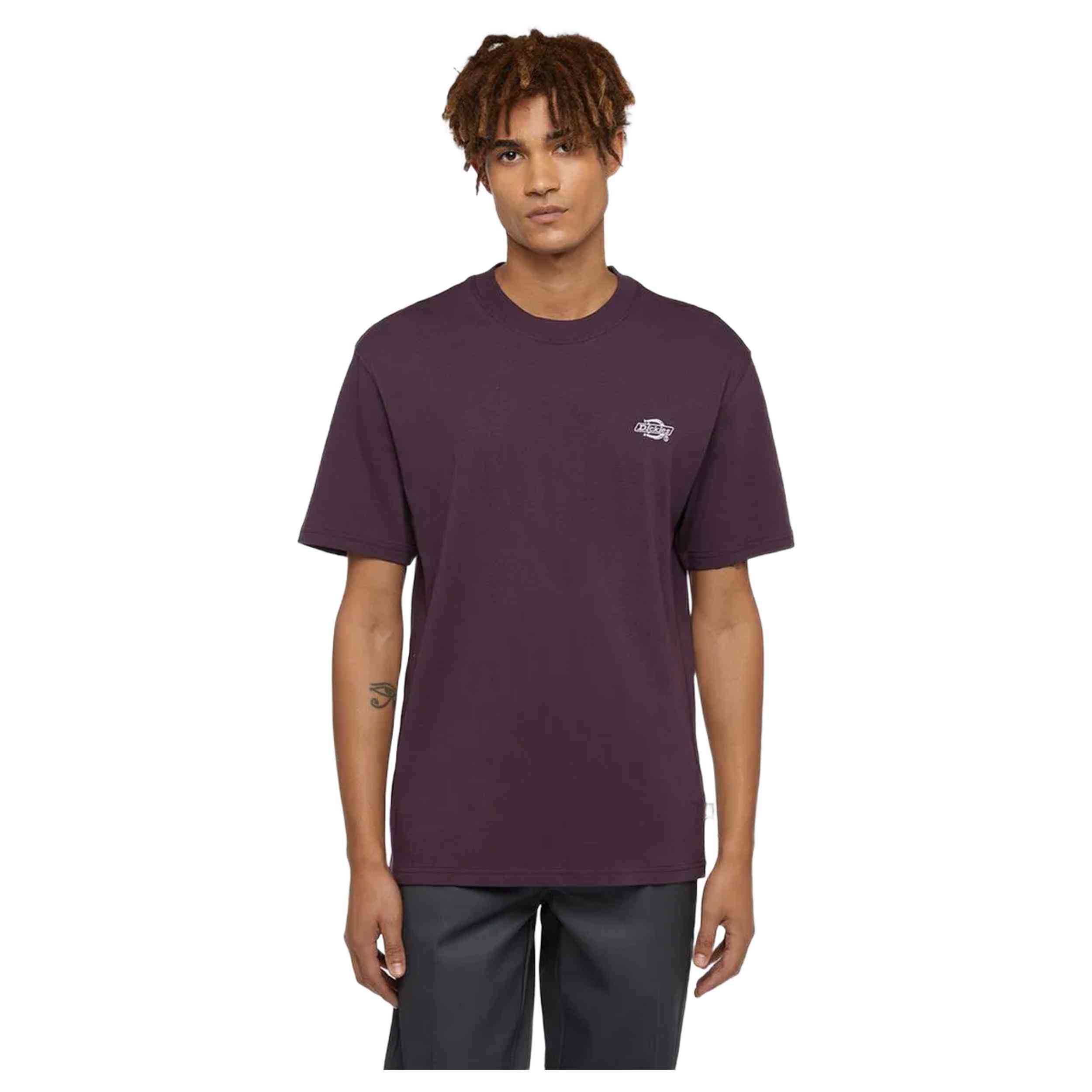 Camiseta De Manga Corta Dickies Summerdale