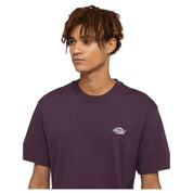Camiseta De Manga Corta Dickies Summerdale