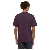 Camiseta De Manga Corta Dickies Summerdale