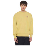Sudadera Dickies