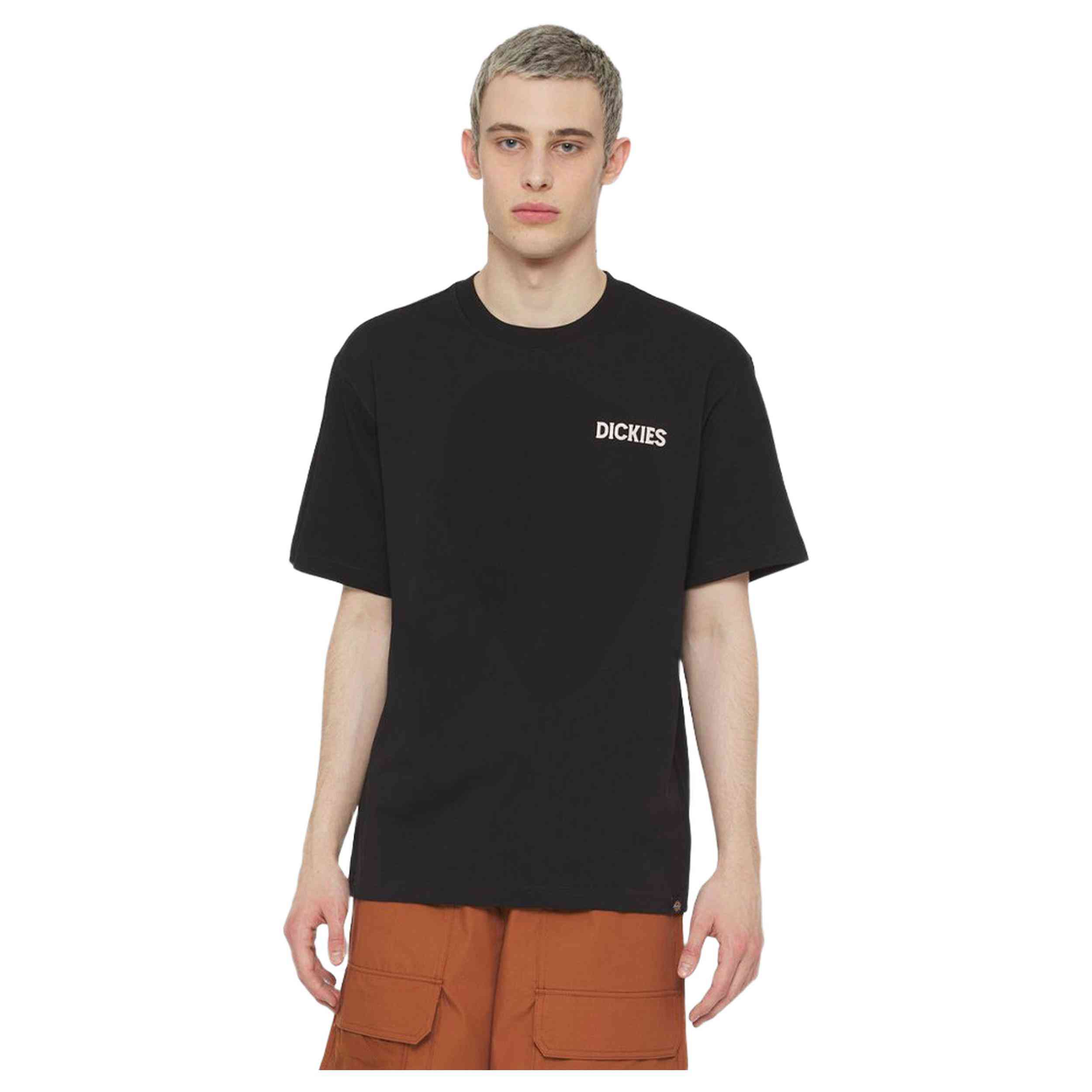 Camiseta De Manga Corta Dickies Beach