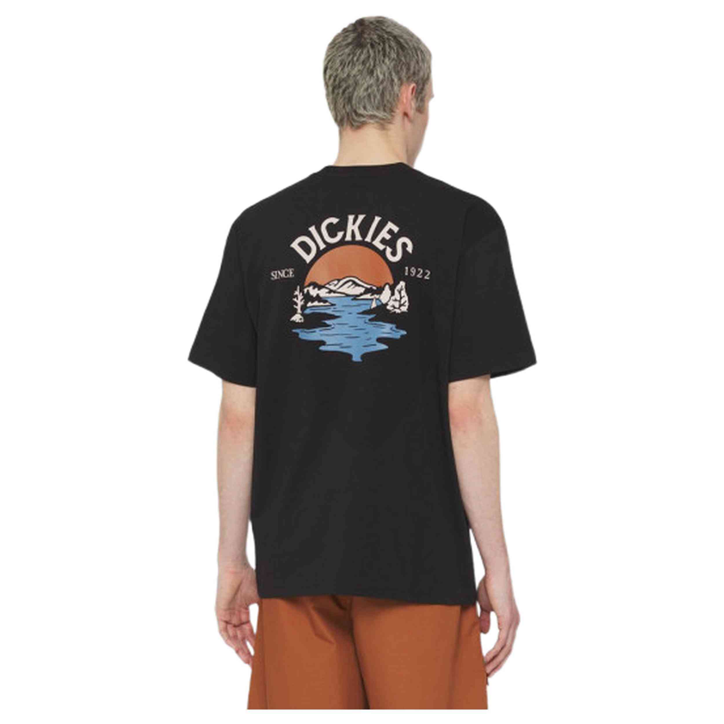 Camiseta De Manga Corta Dickies Beach