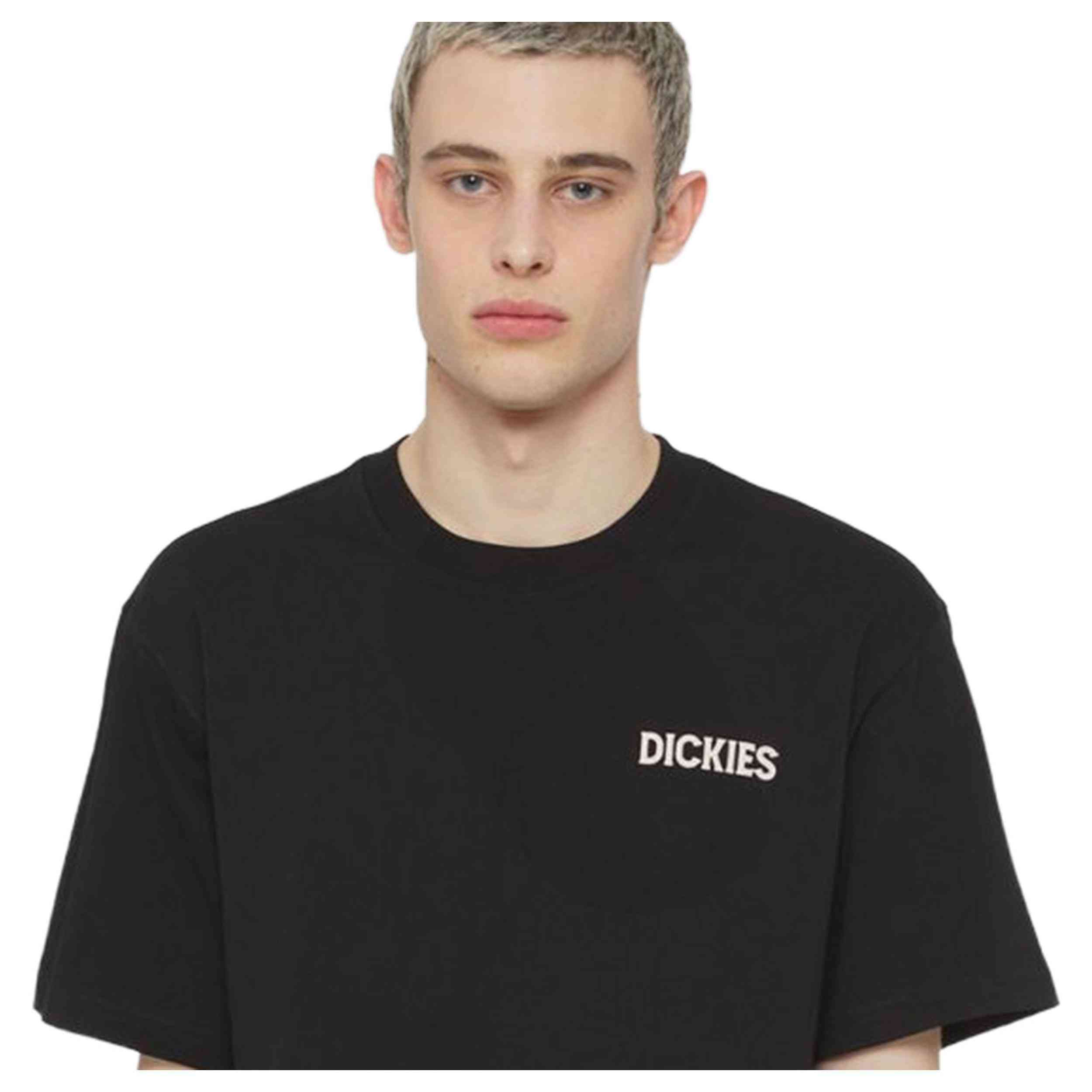 Camiseta De Manga Corta Dickies Beach