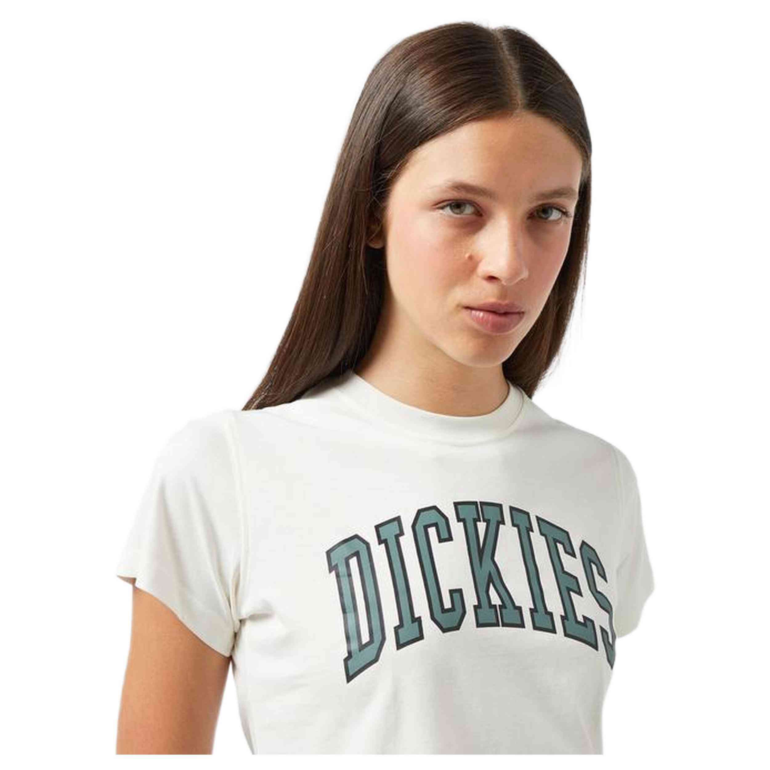 Camiseta De Manga Corta Dickies Aitkin