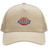 Gorra Dickies Haston Trucker