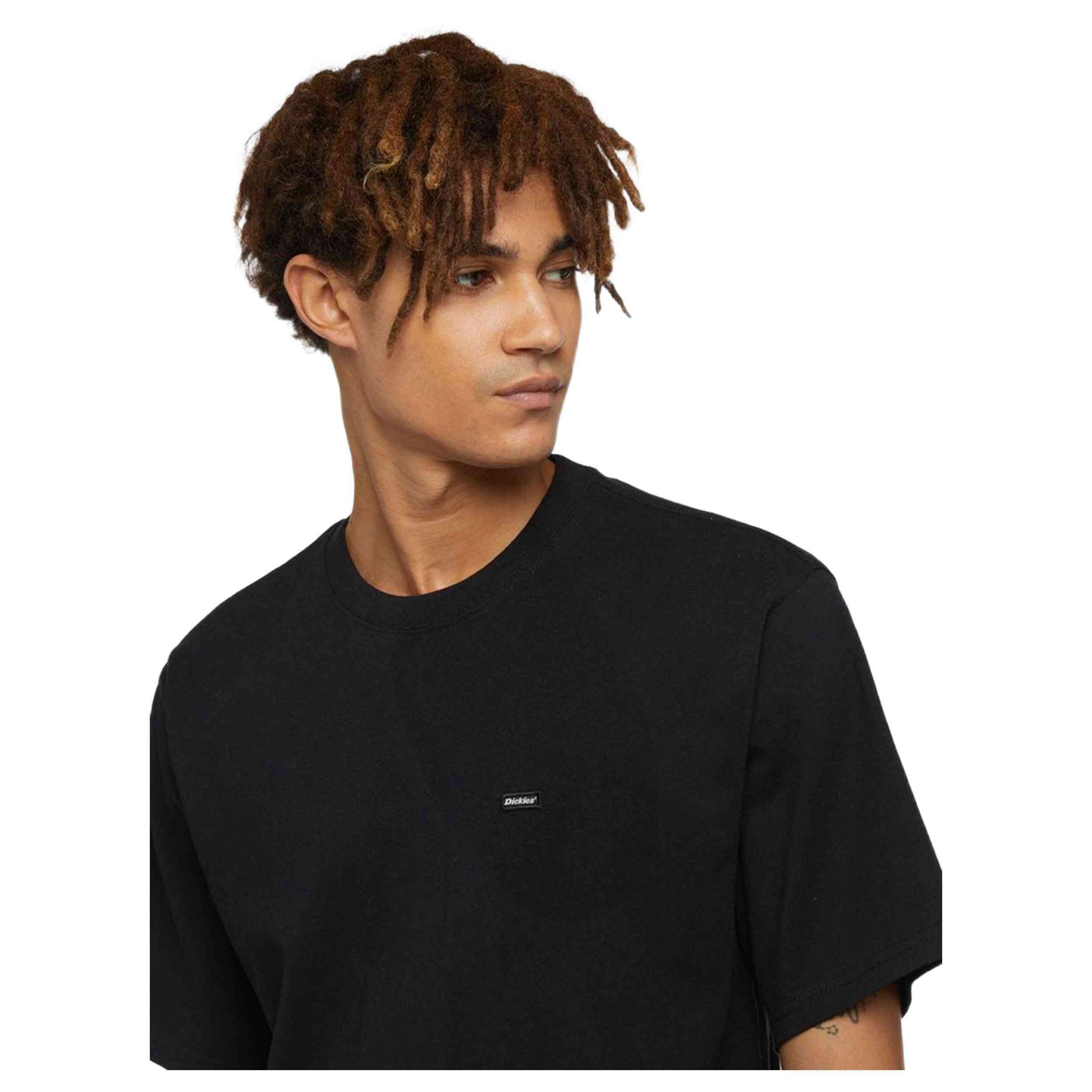Camiseta De Manga Corta Dickies Icon Logo