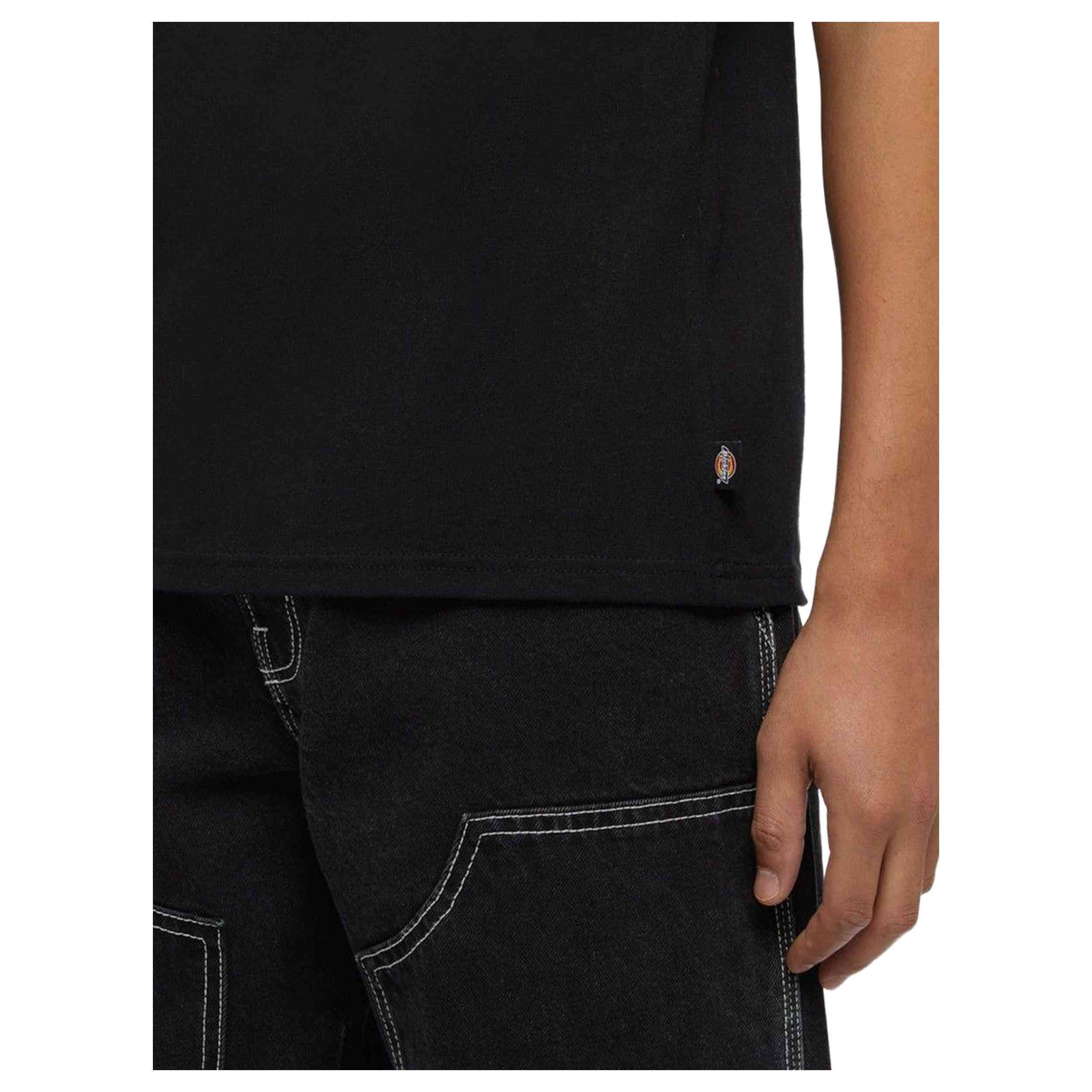 Camiseta De Manga Corta Dickies Icon Logo