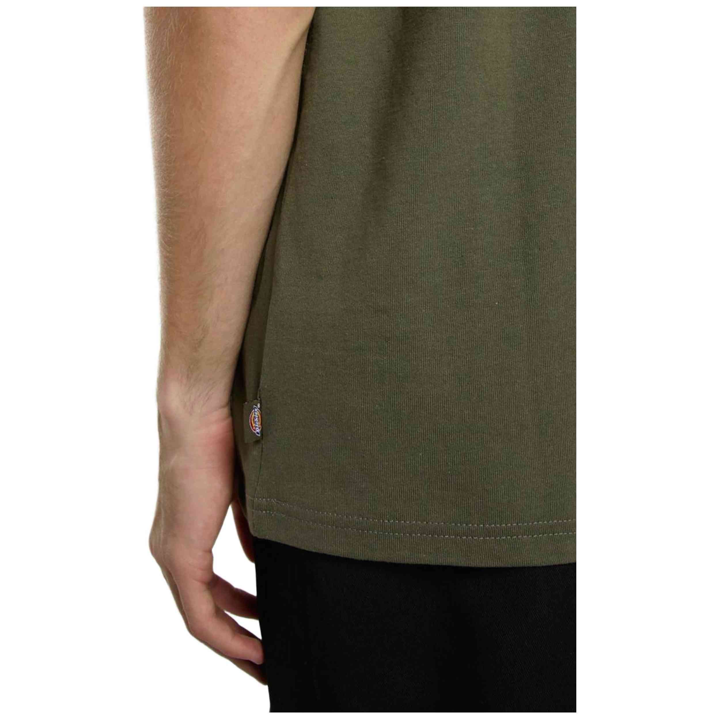 Camiseta De Manga Corta Dickies Clancy Heavyweight