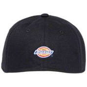 Gorra Dickies Hanston