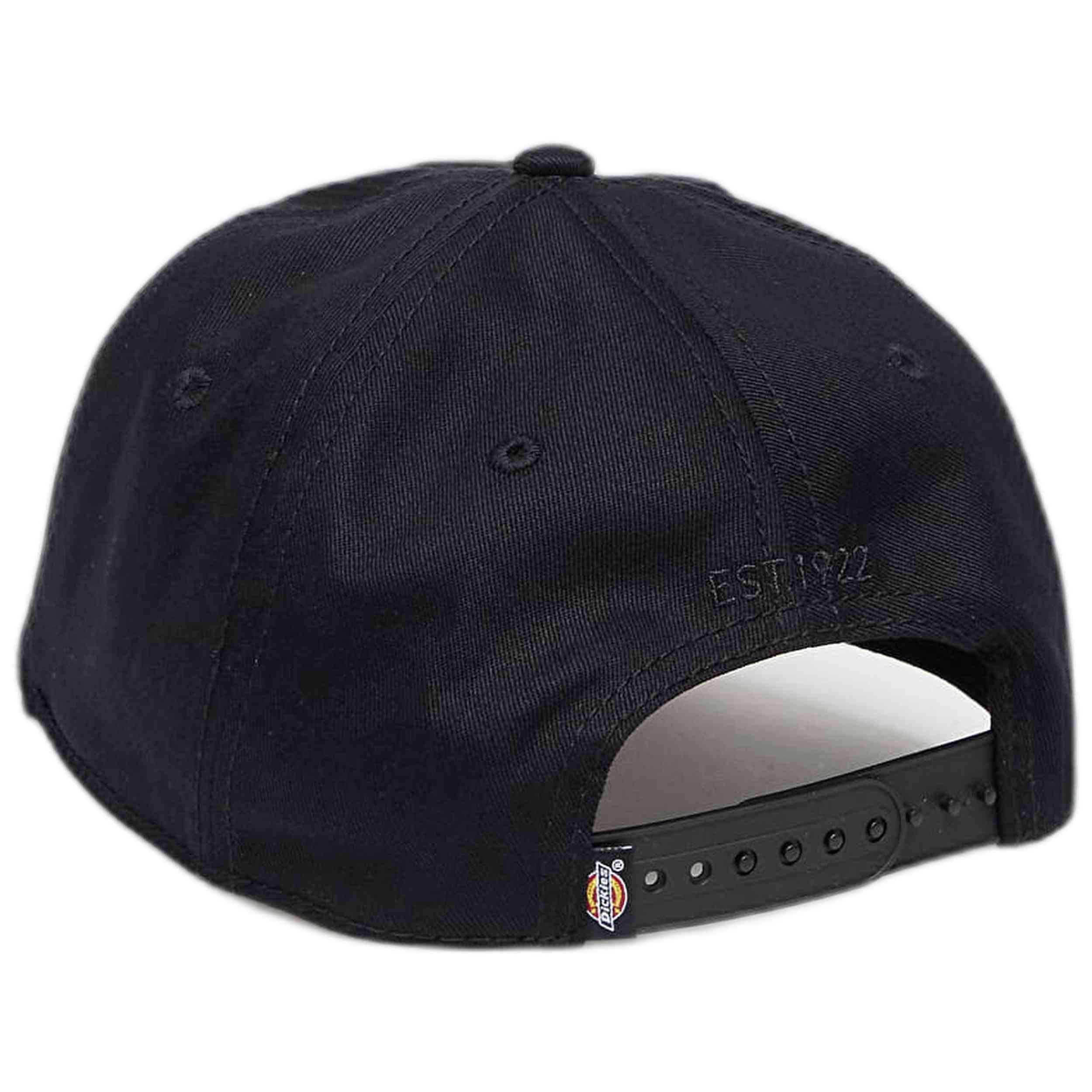 Gorra Dickies Hanston