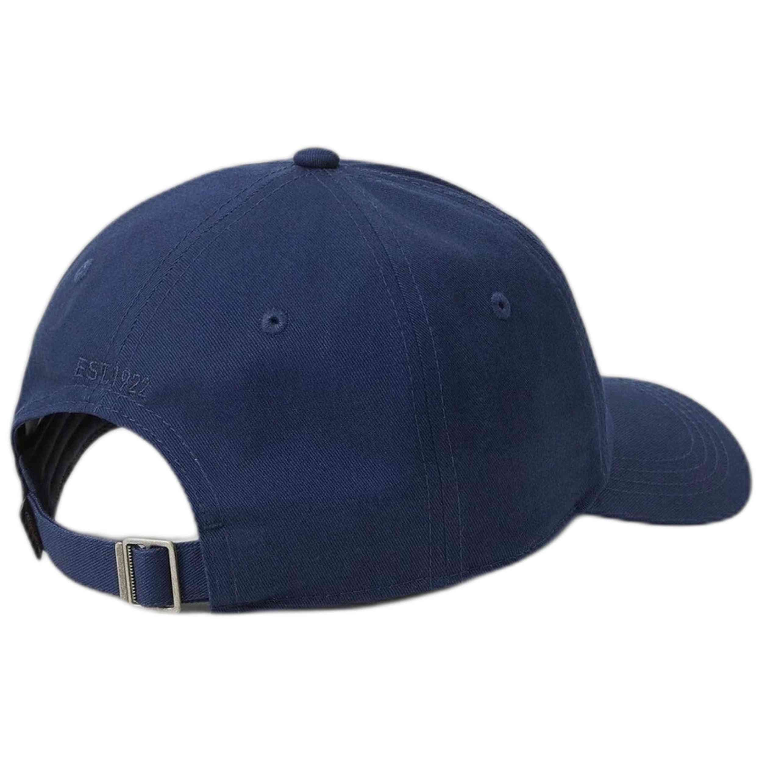 Gorra Dickies Essential Dad