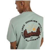 Camiseta De Manga Corta Dickies Outdoor