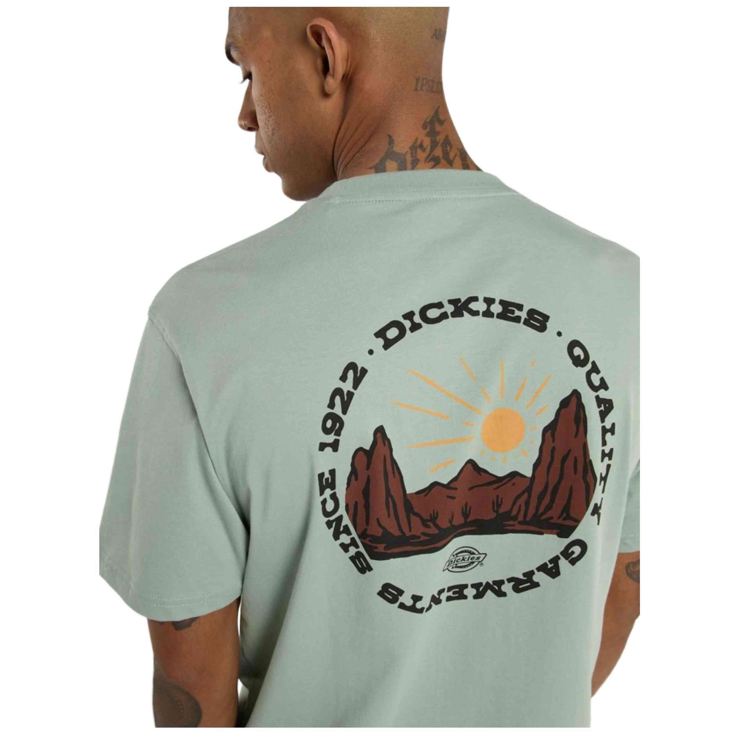 Camiseta De Manga Corta Dickies Outdoor