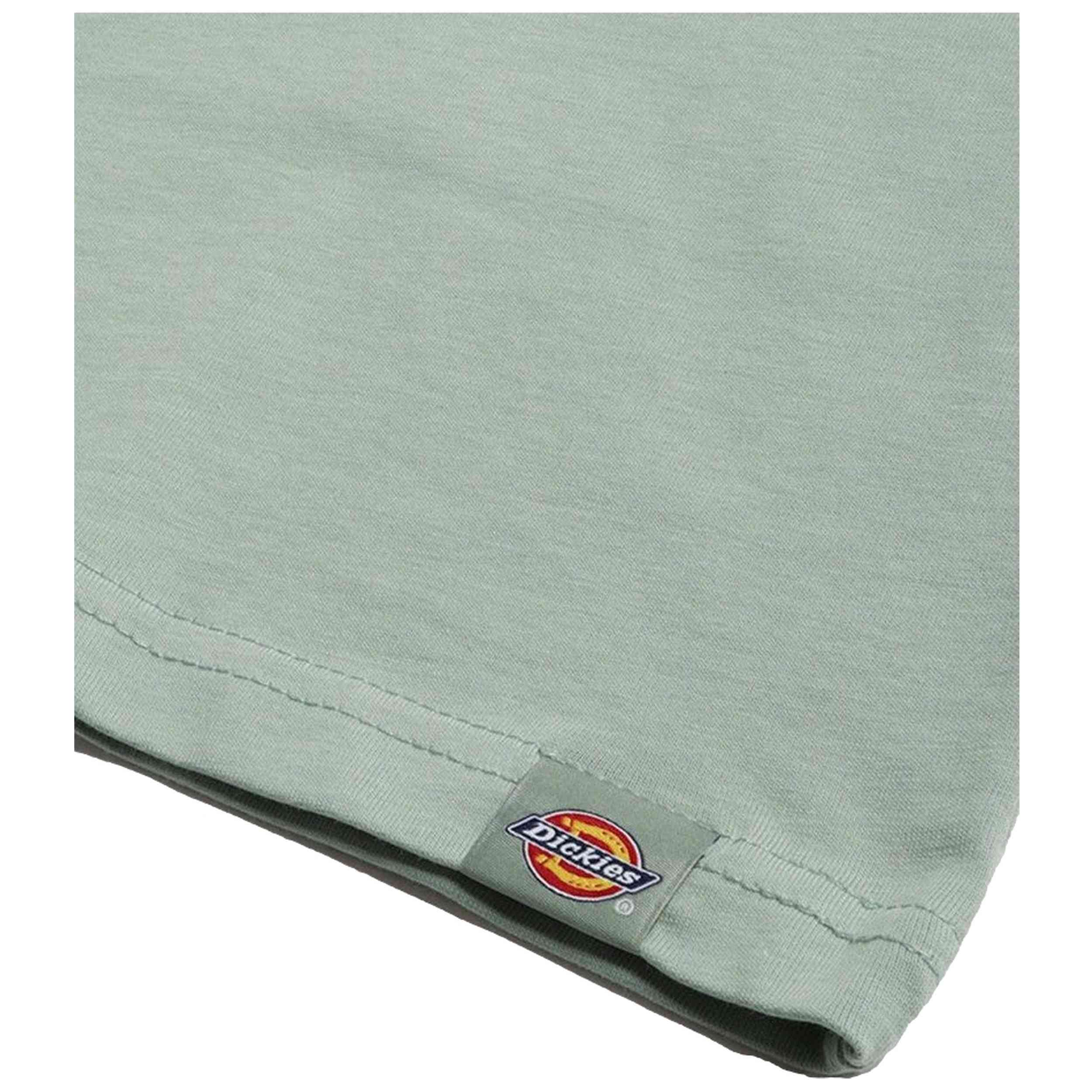 Camiseta De Manga Corta Dickies Outdoor