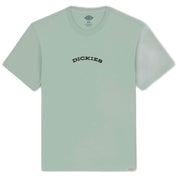 Camiseta De Manga Corta Dickies Outdoor