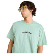 Imagen del producto con referencia DK0A4Z8PK361-VERDE