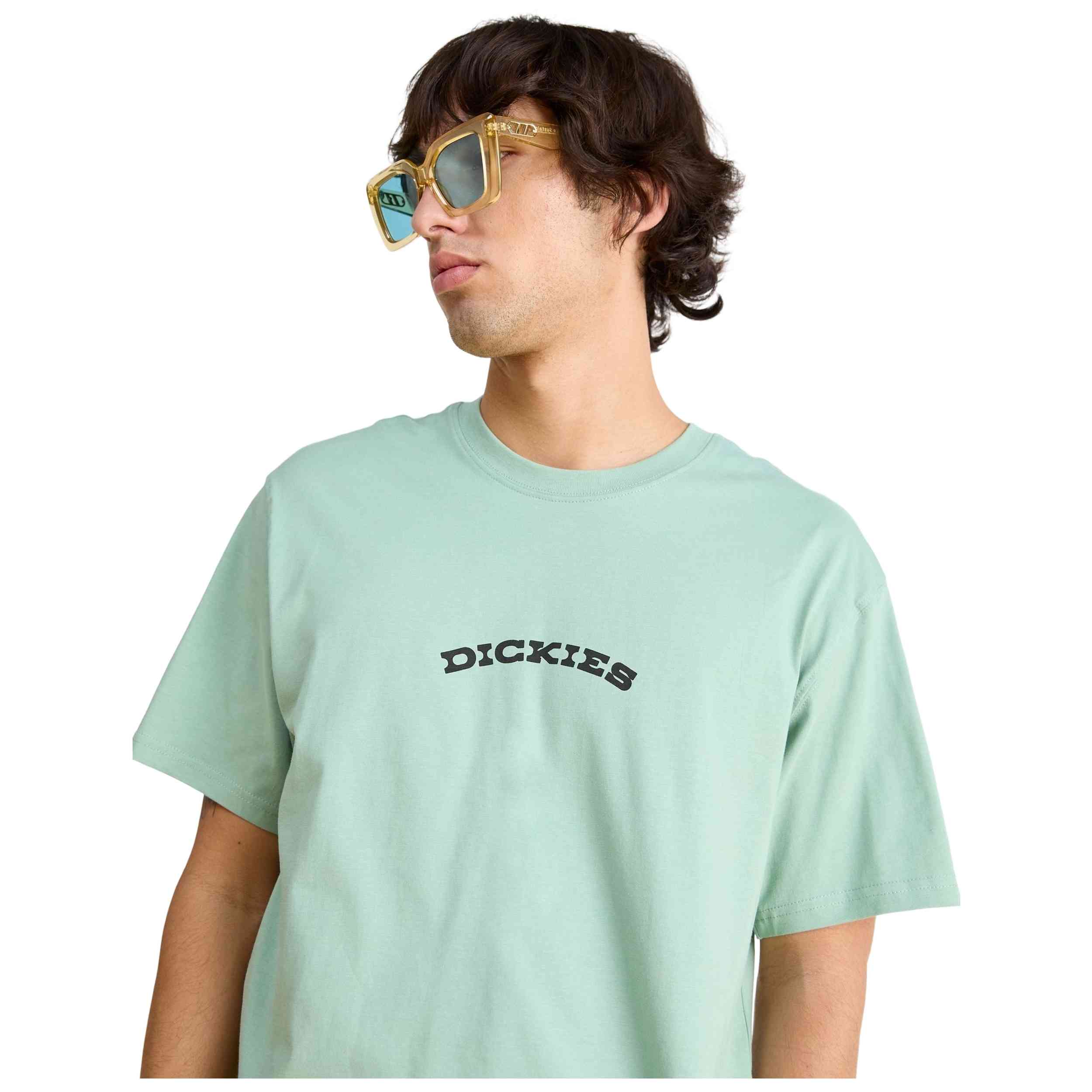 Imagen del producto con referencia DK0A4Z8PK361-VERDE