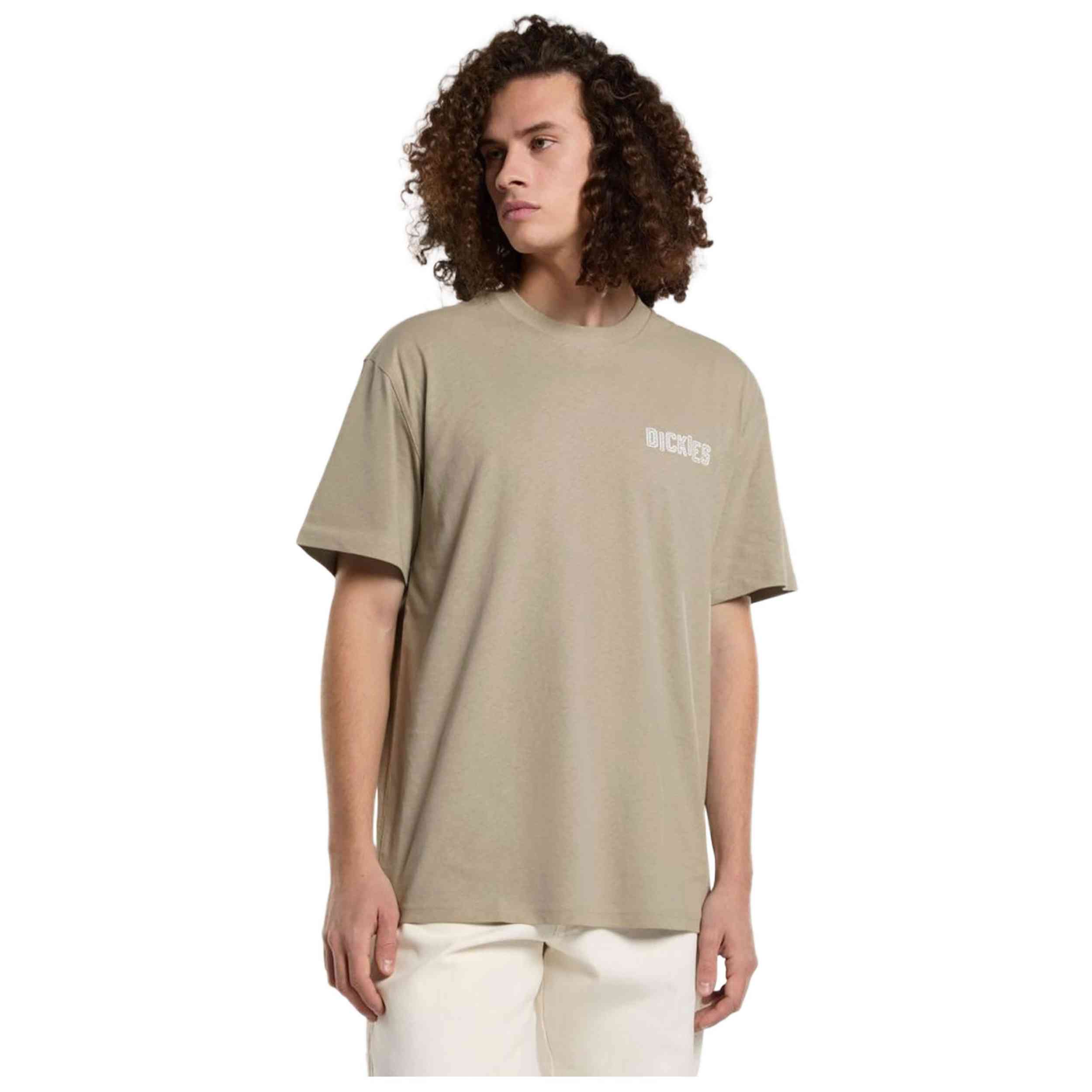 Camiseta De Manga Corta Dickies Bricklane