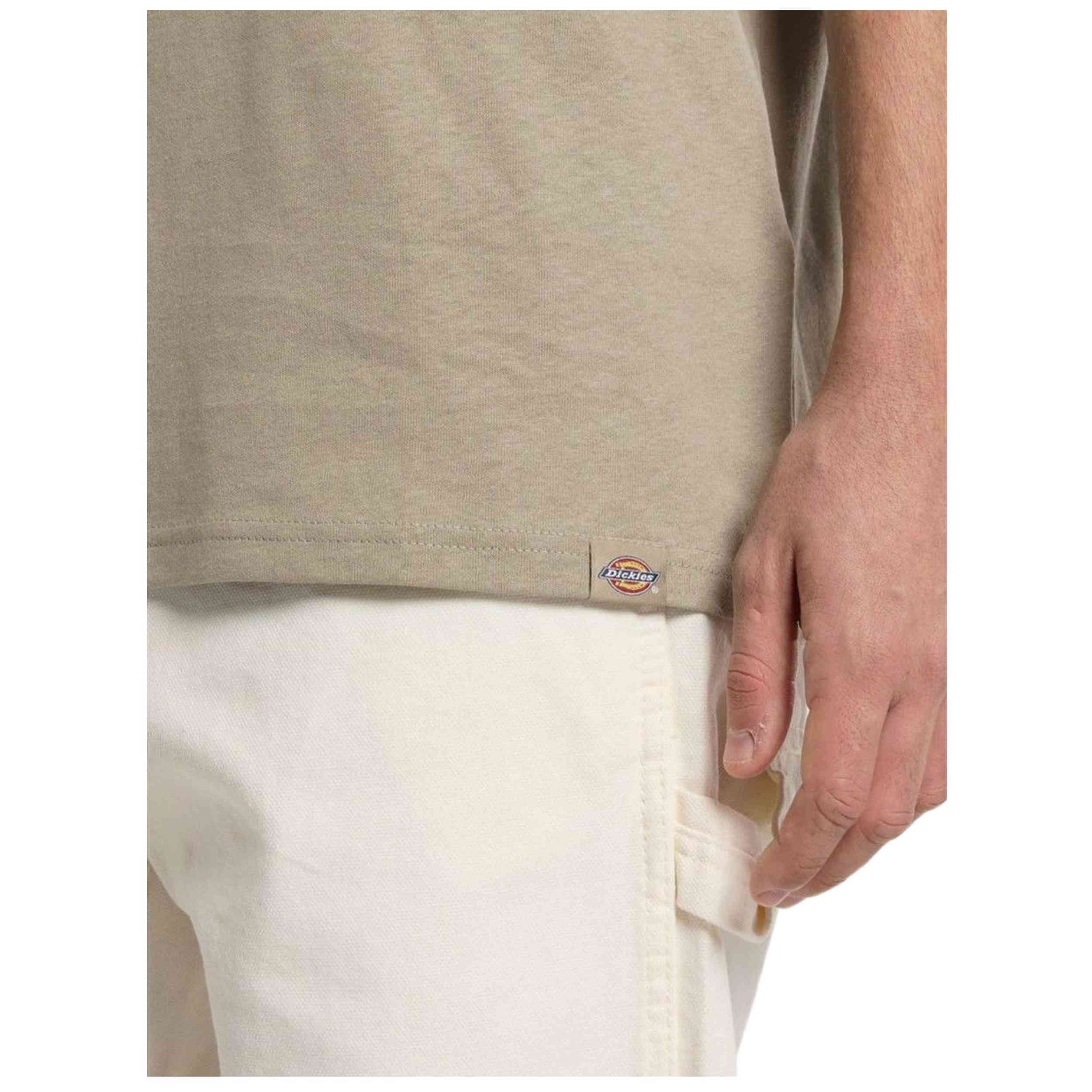 Camiseta De Manga Corta Dickies Bricklane