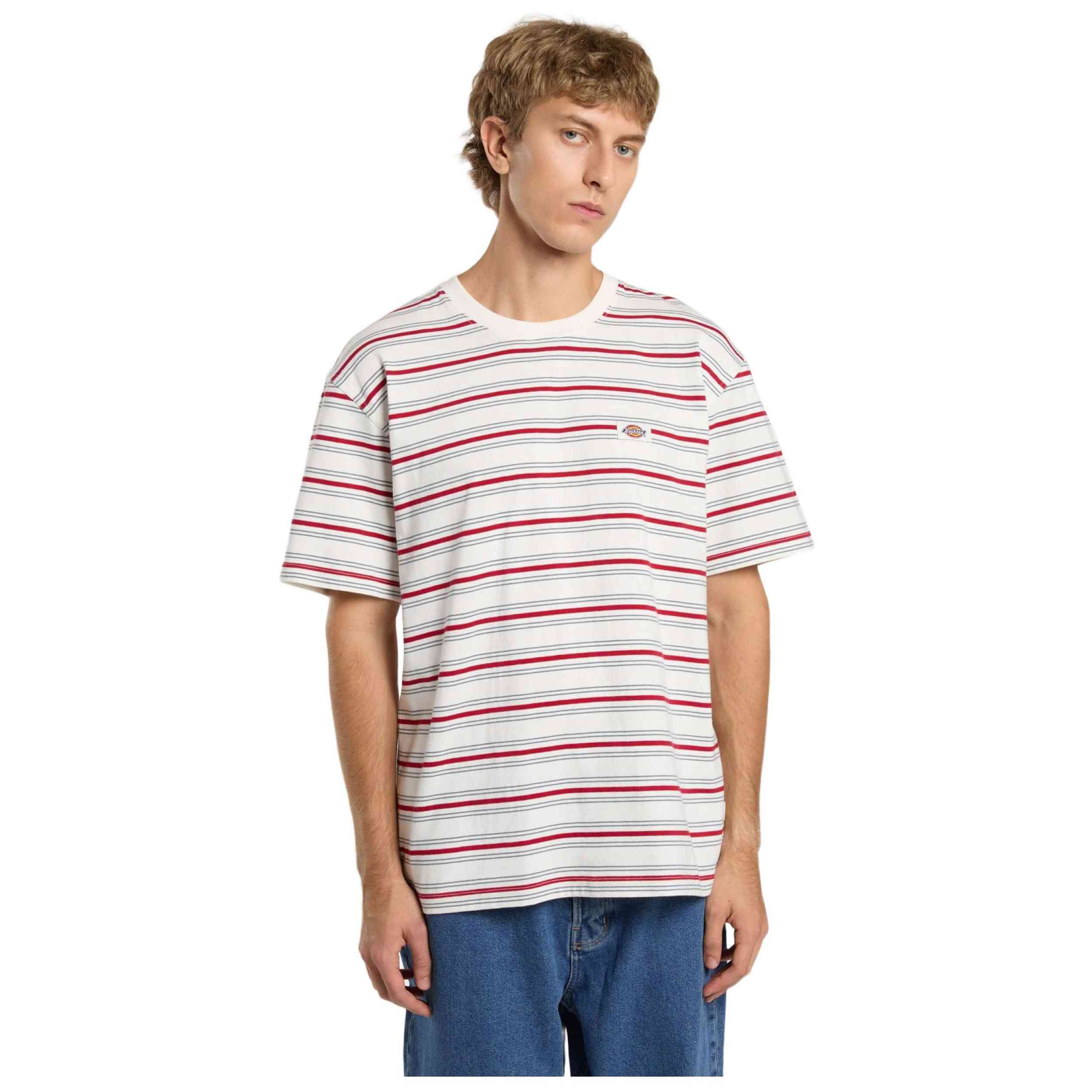 Camiseta De Manga Corta Dickies Lewistown