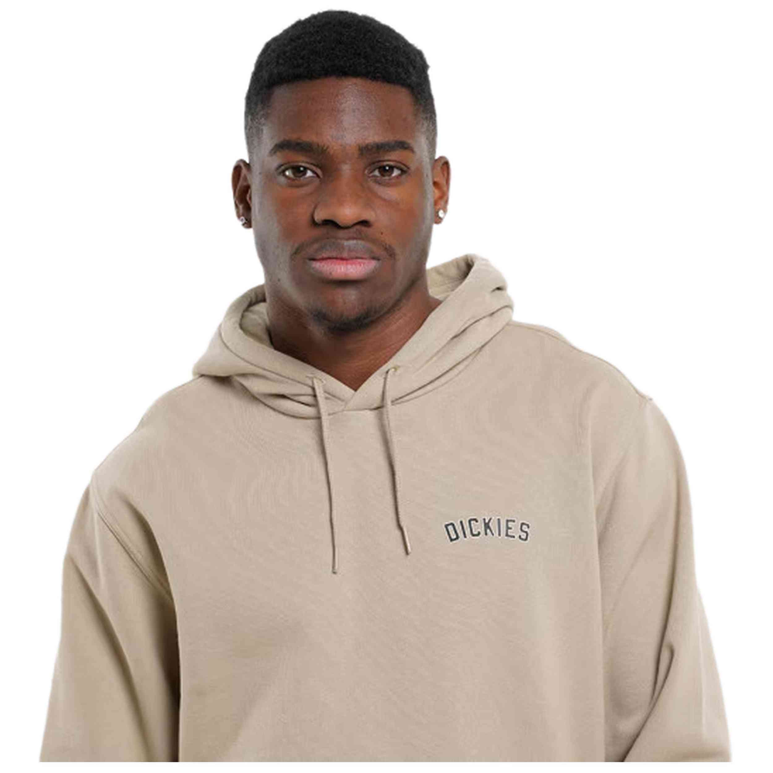 Sudadera Con Capucha Dickies Service