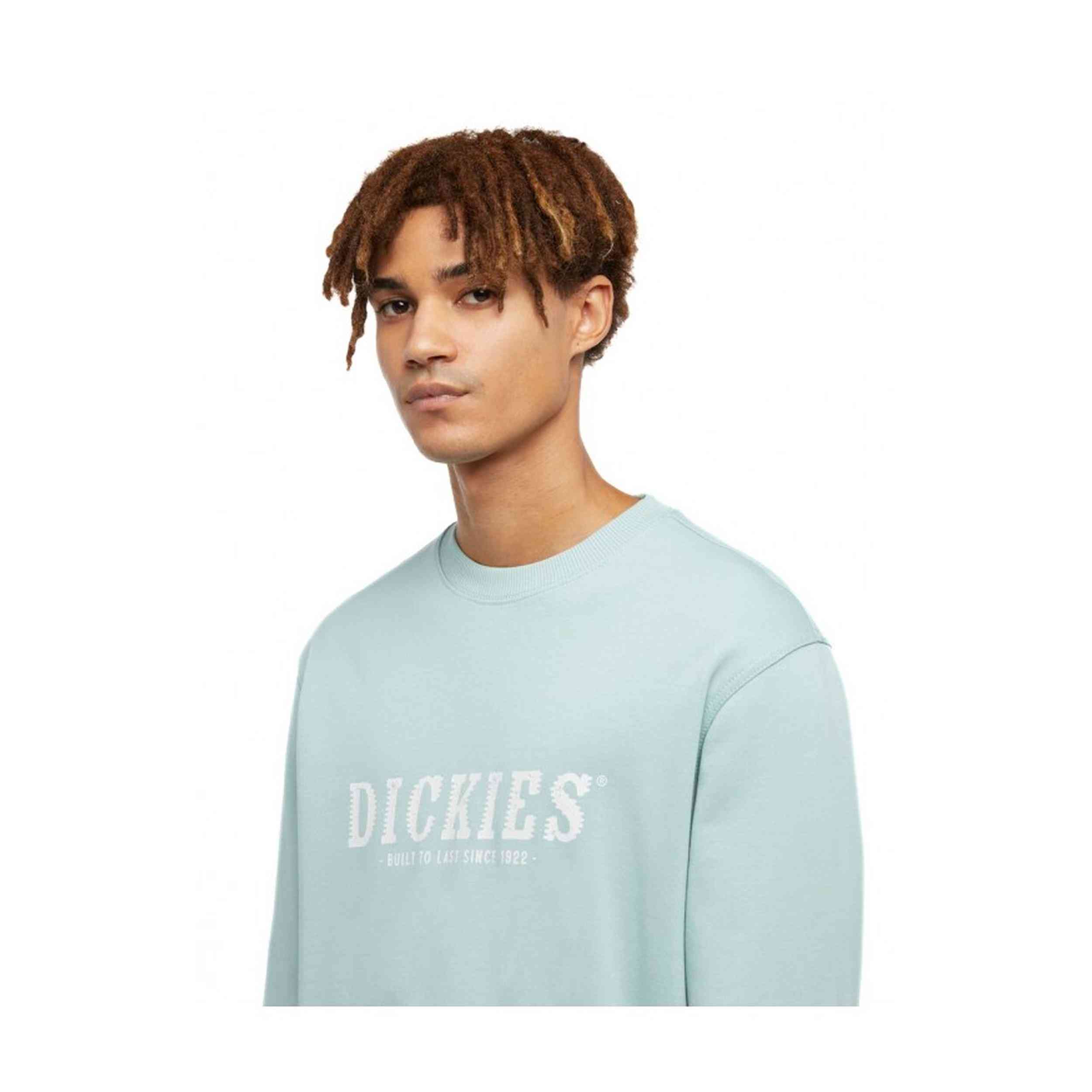 Sudadera Dickies Script