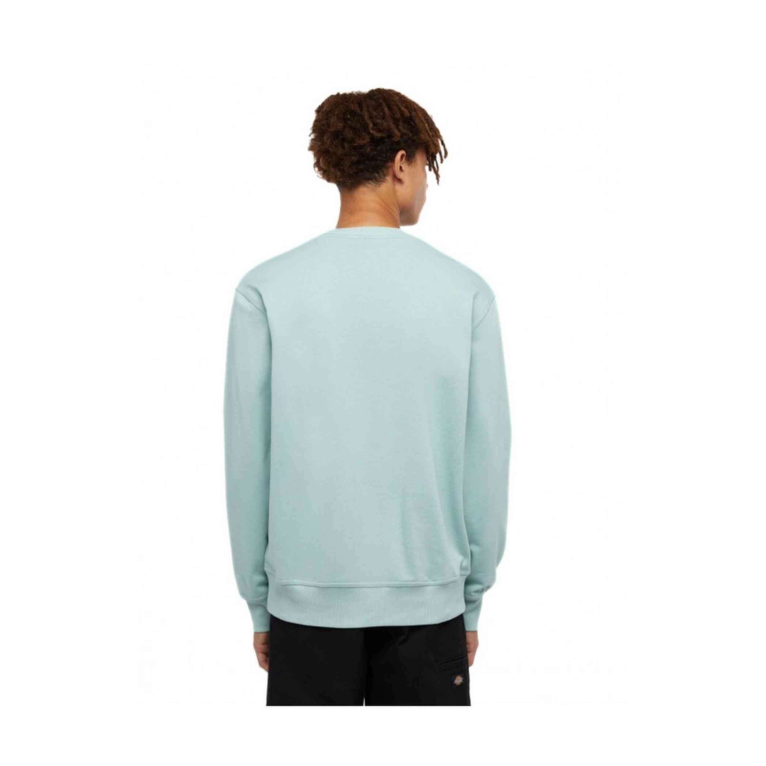 Sudadera Dickies Script