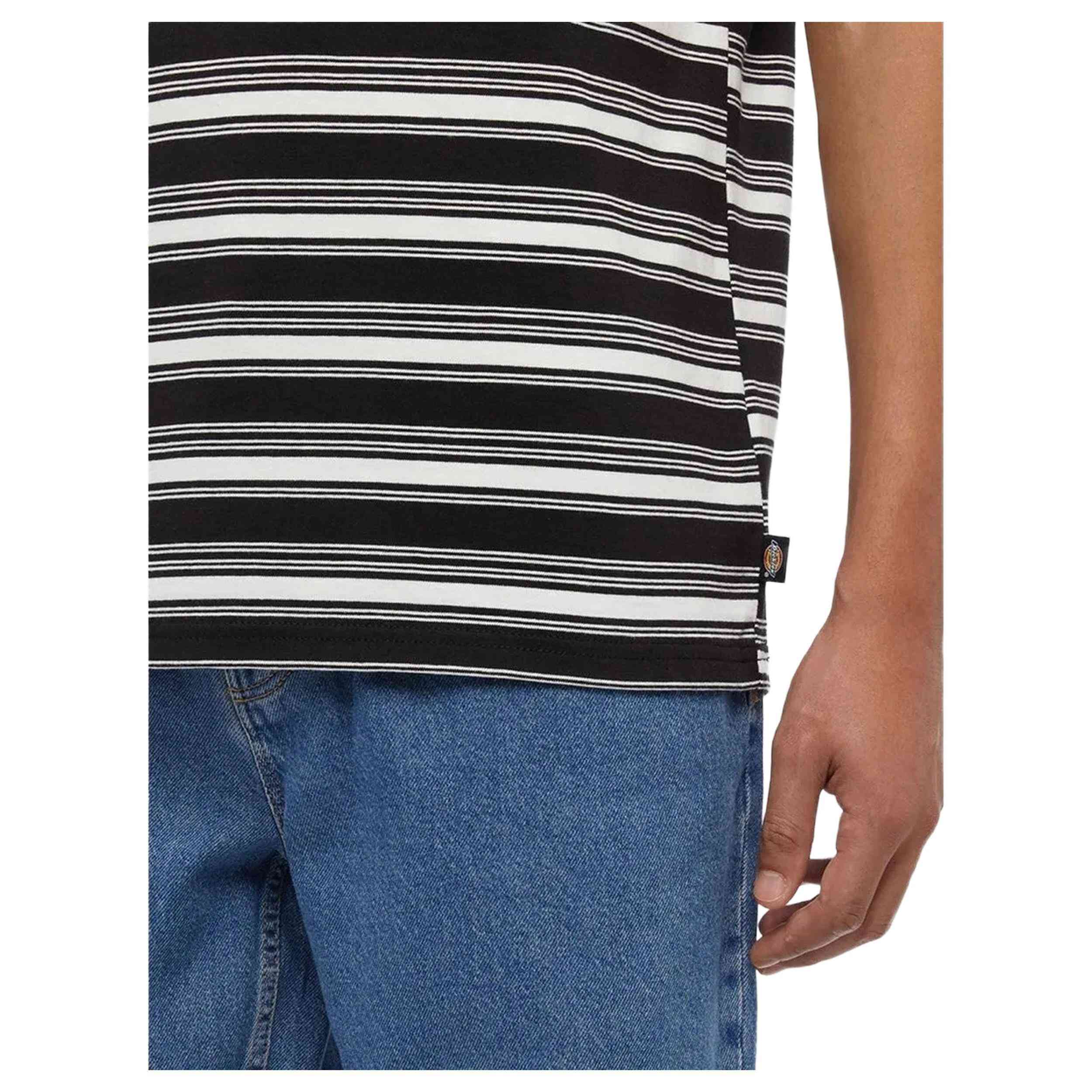  Dickies Stevensville