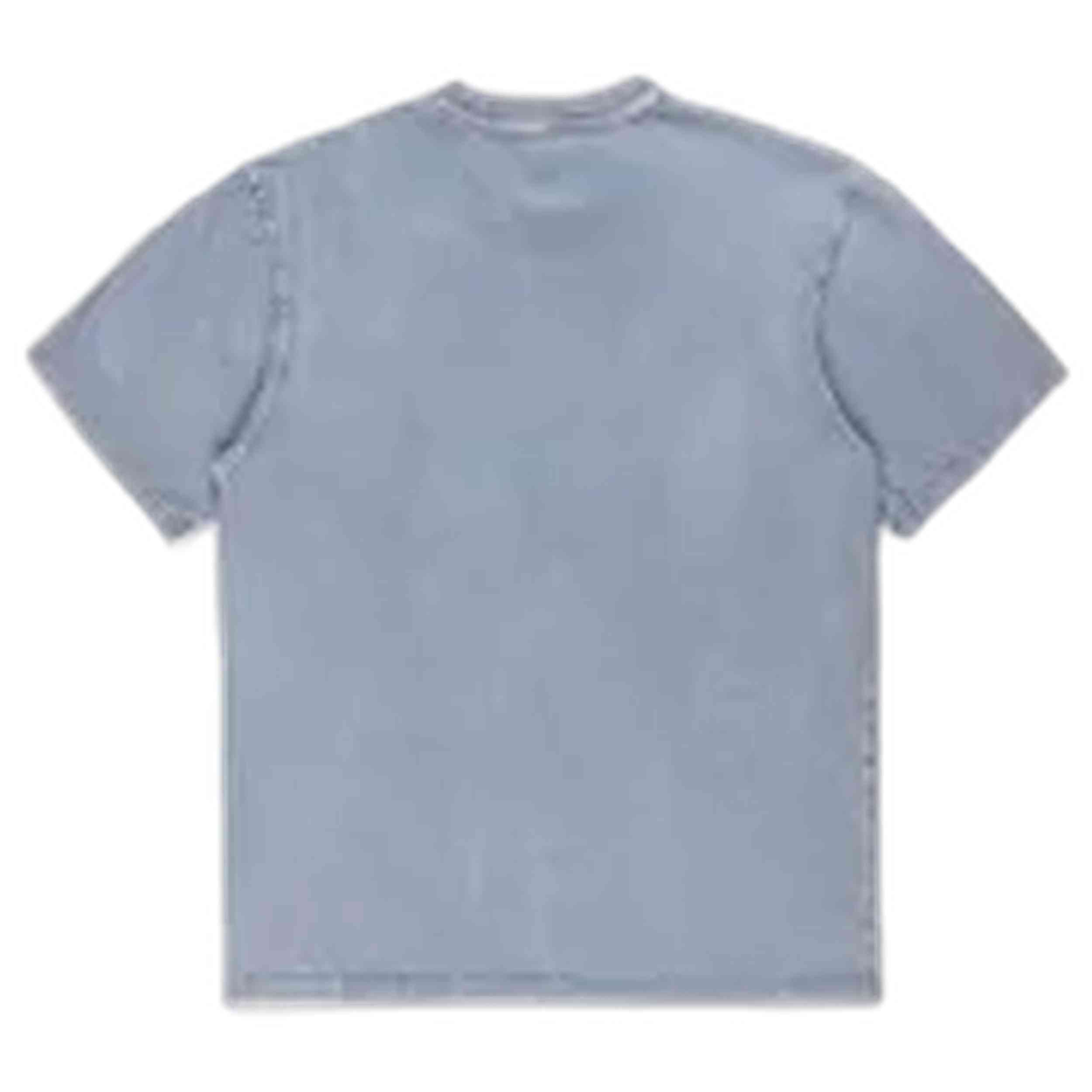 Camiseta De Manga Corta Dickies Mapleton