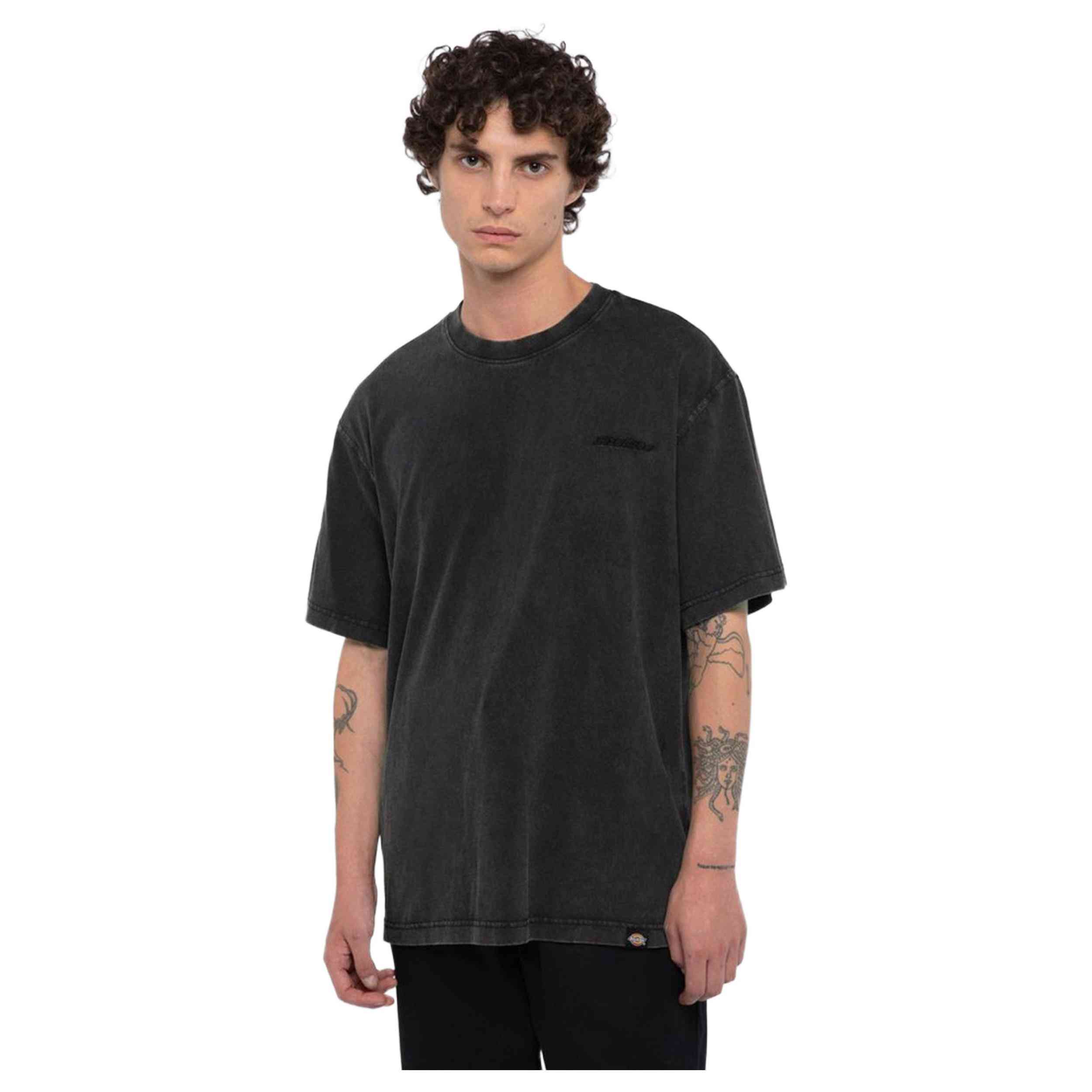 Camiseta De Manga Corta Dickies Plentywood