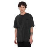 Camiseta De Manga Corta Dickies Plentywood