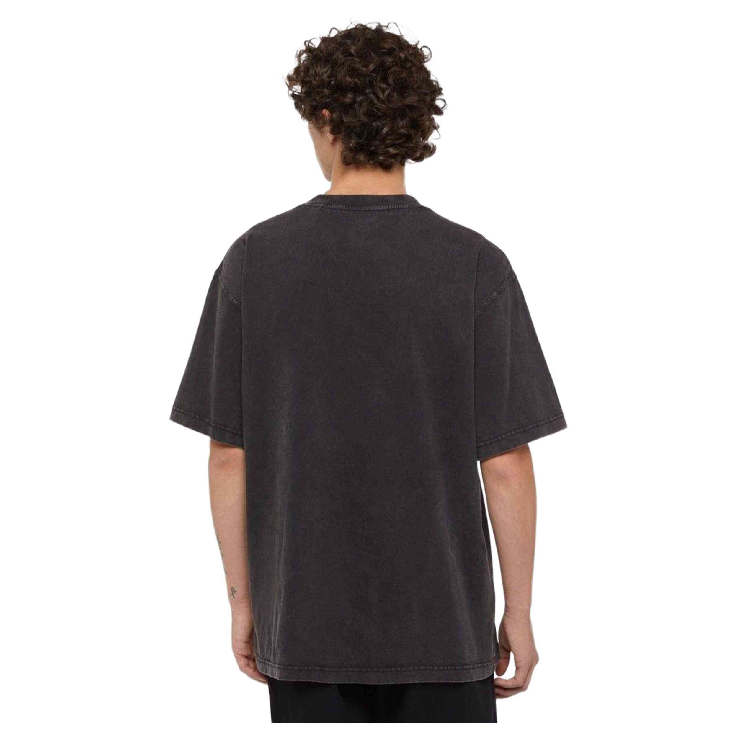 Camiseta De Manga Corta Dickies Plentywood