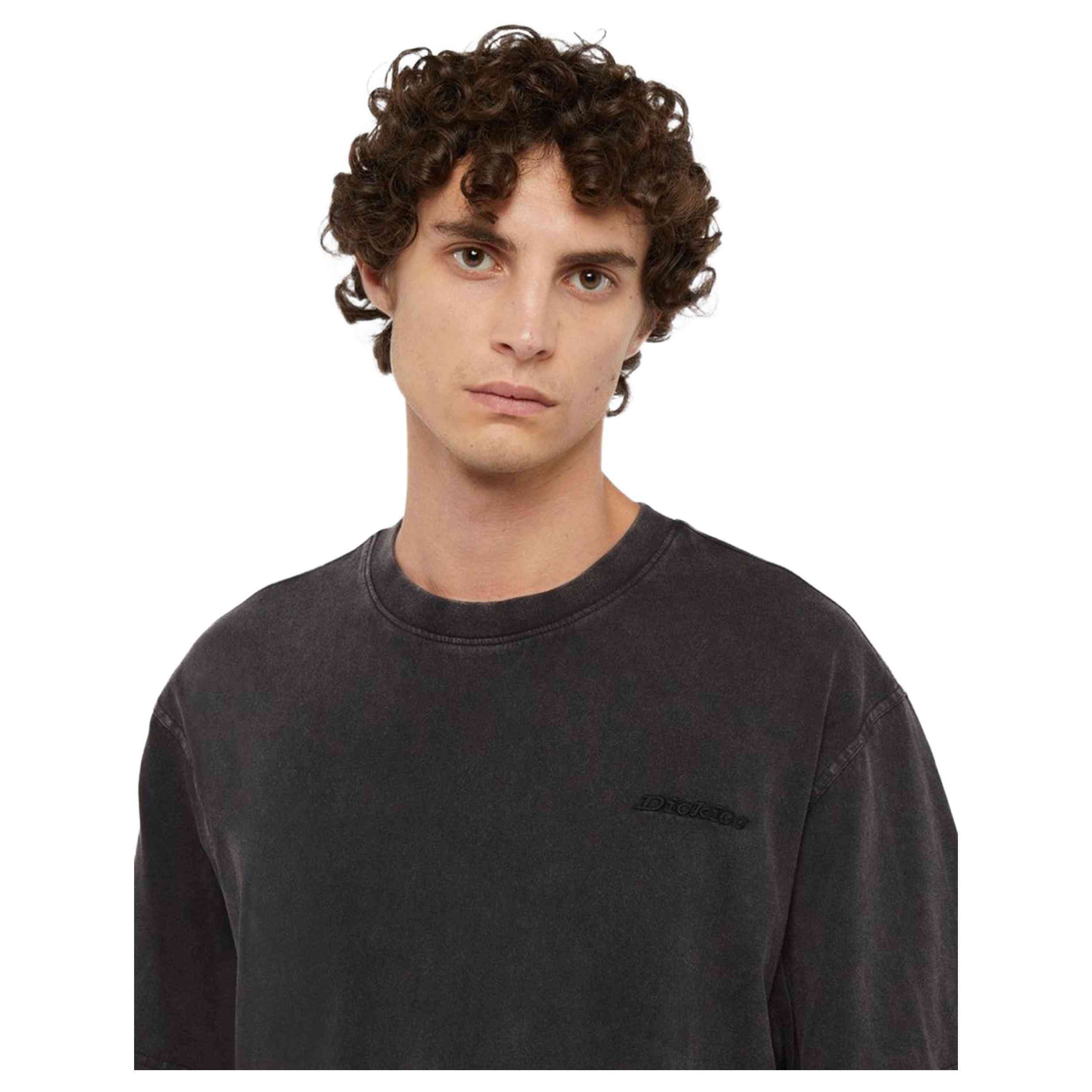 Camiseta De Manga Corta Dickies Plentywood