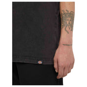 Camiseta De Manga Corta Dickies Plentywood