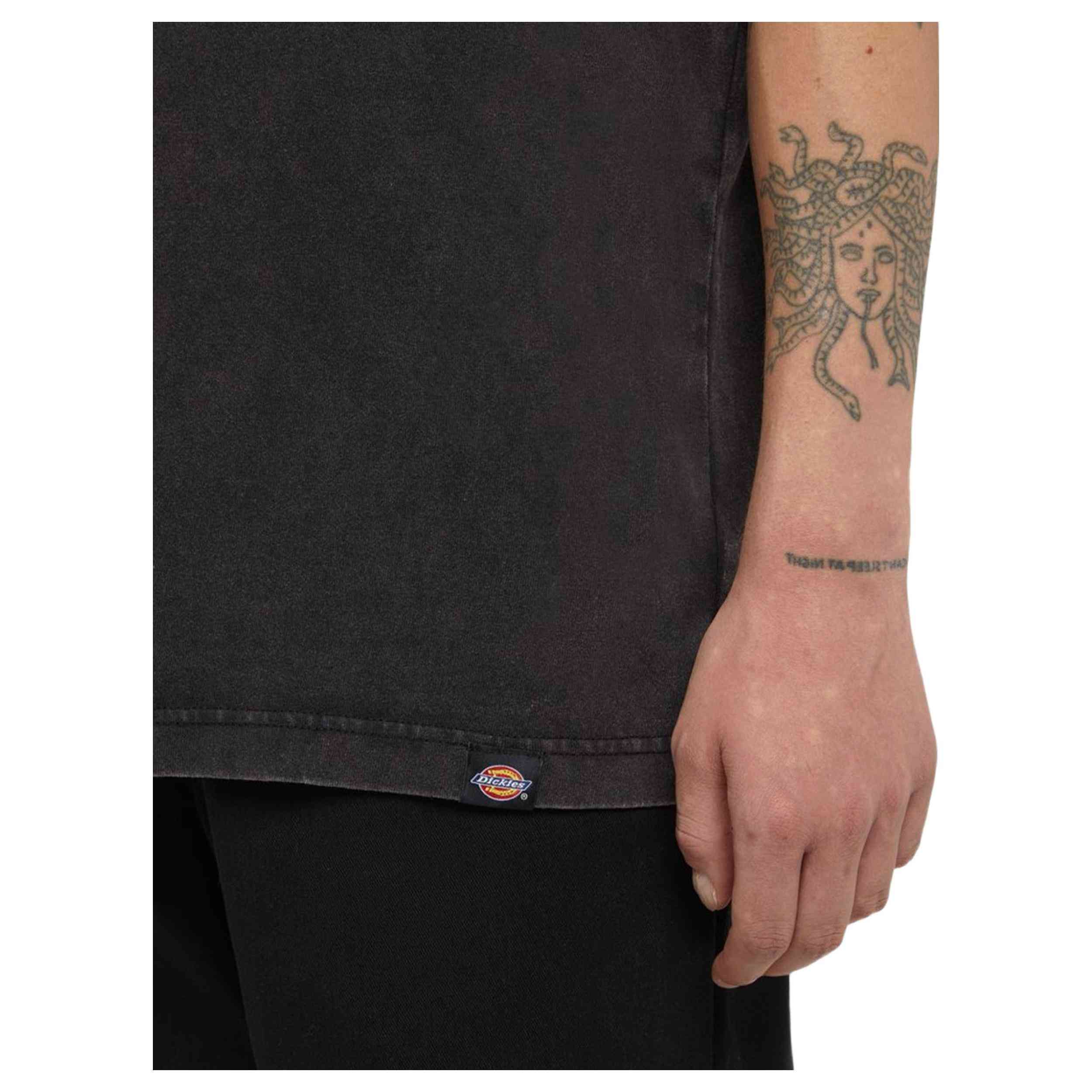 Camiseta De Manga Corta Dickies Plentywood