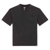 Camiseta De Manga Corta Dickies Plentywood