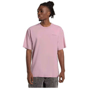 Camiseta De Manga Corta Dickies Plentywood