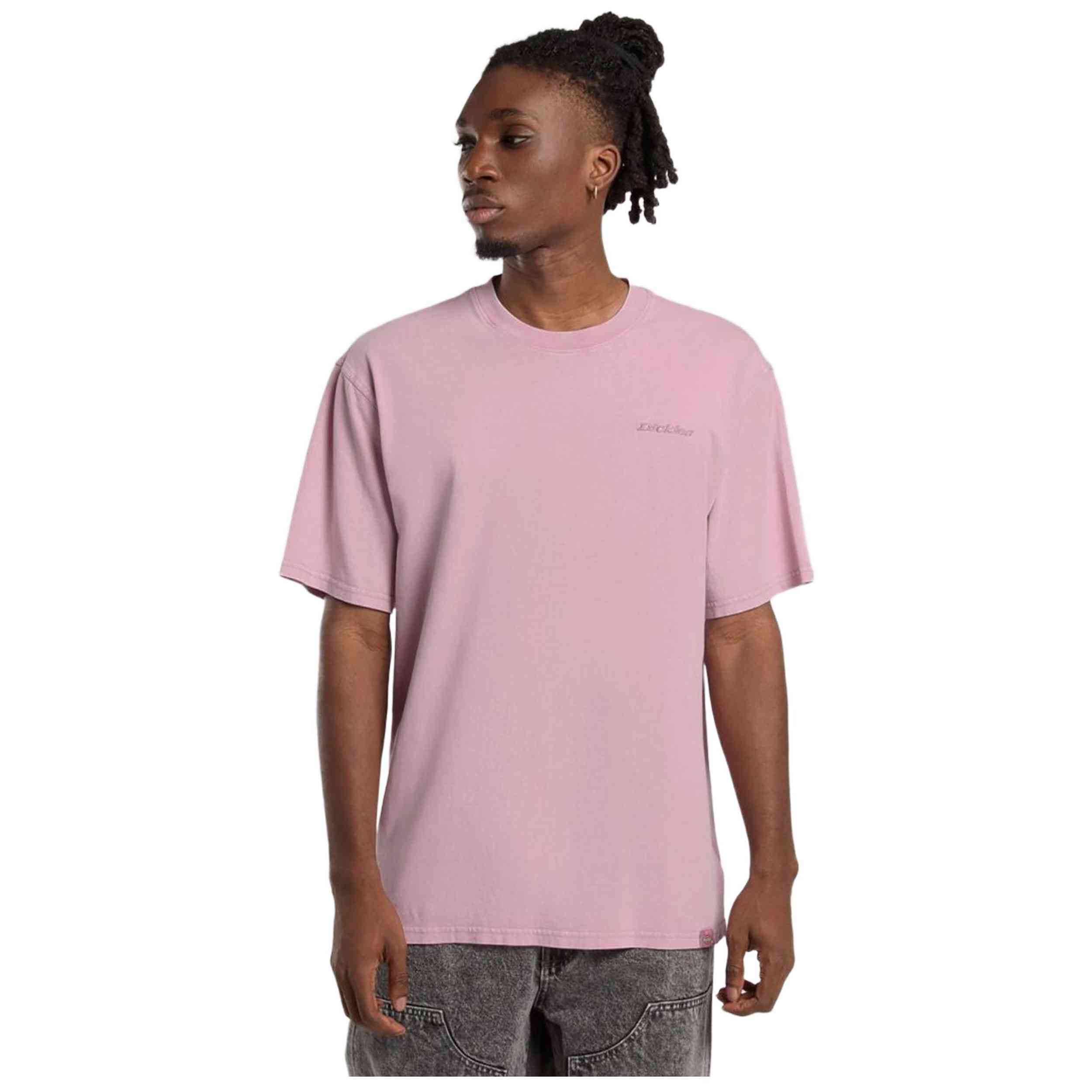 Camiseta De Manga Corta Dickies Plentywood