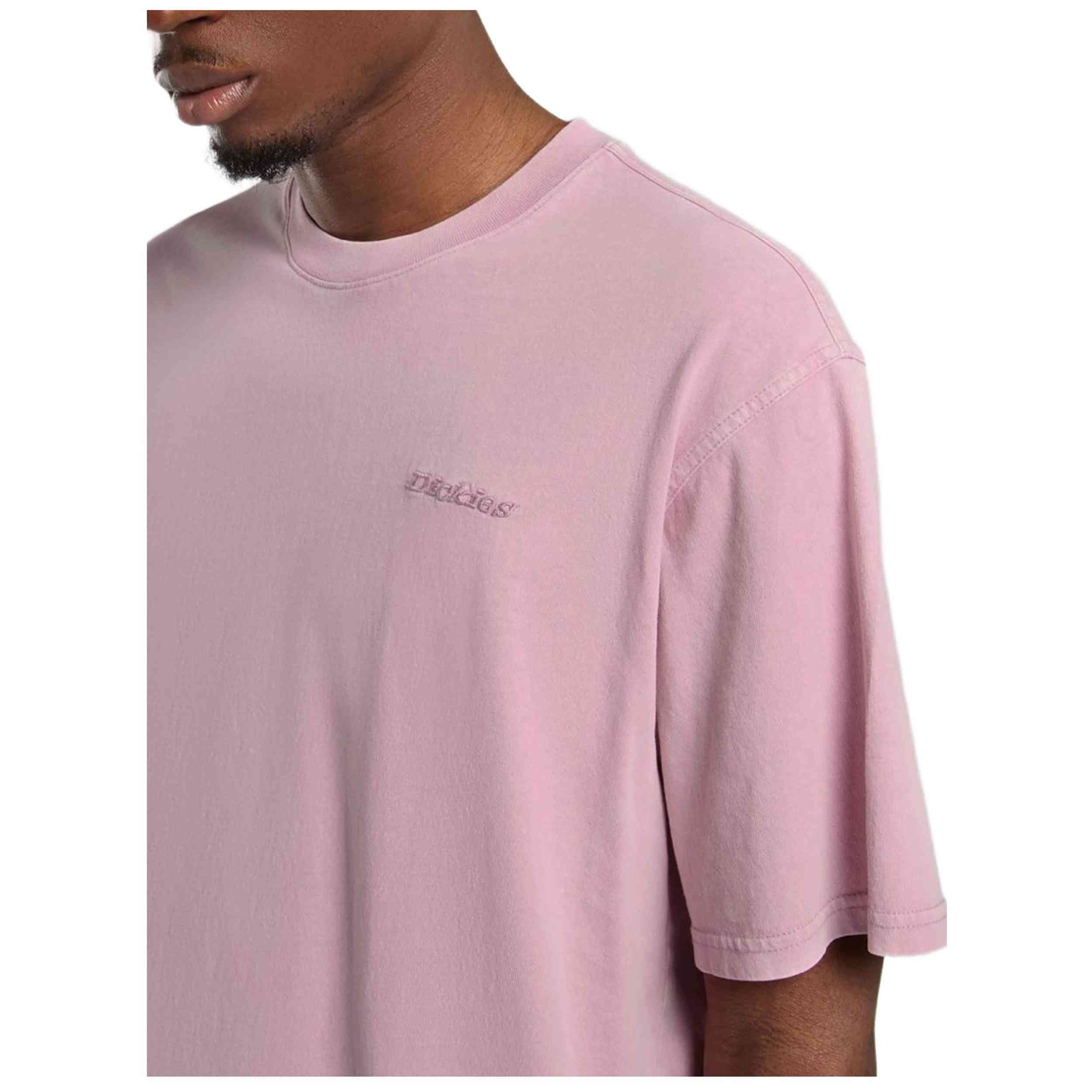 Camiseta De Manga Corta Dickies Plentywood