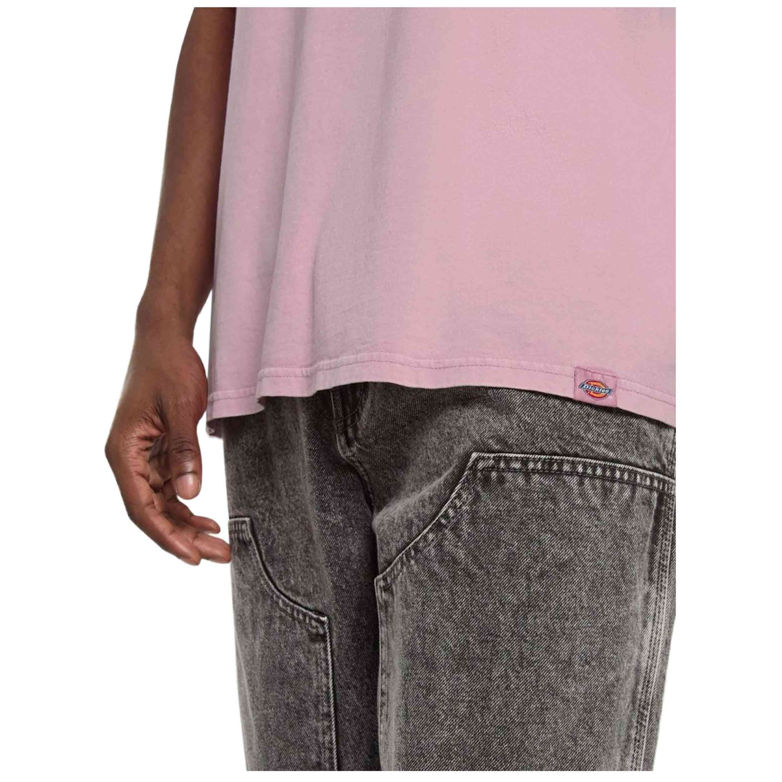 Camiseta De Manga Corta Dickies Plentywood