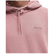 Sudadera Con Capucha Dickies Plentywood