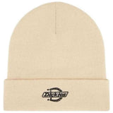 Gorro Dickies