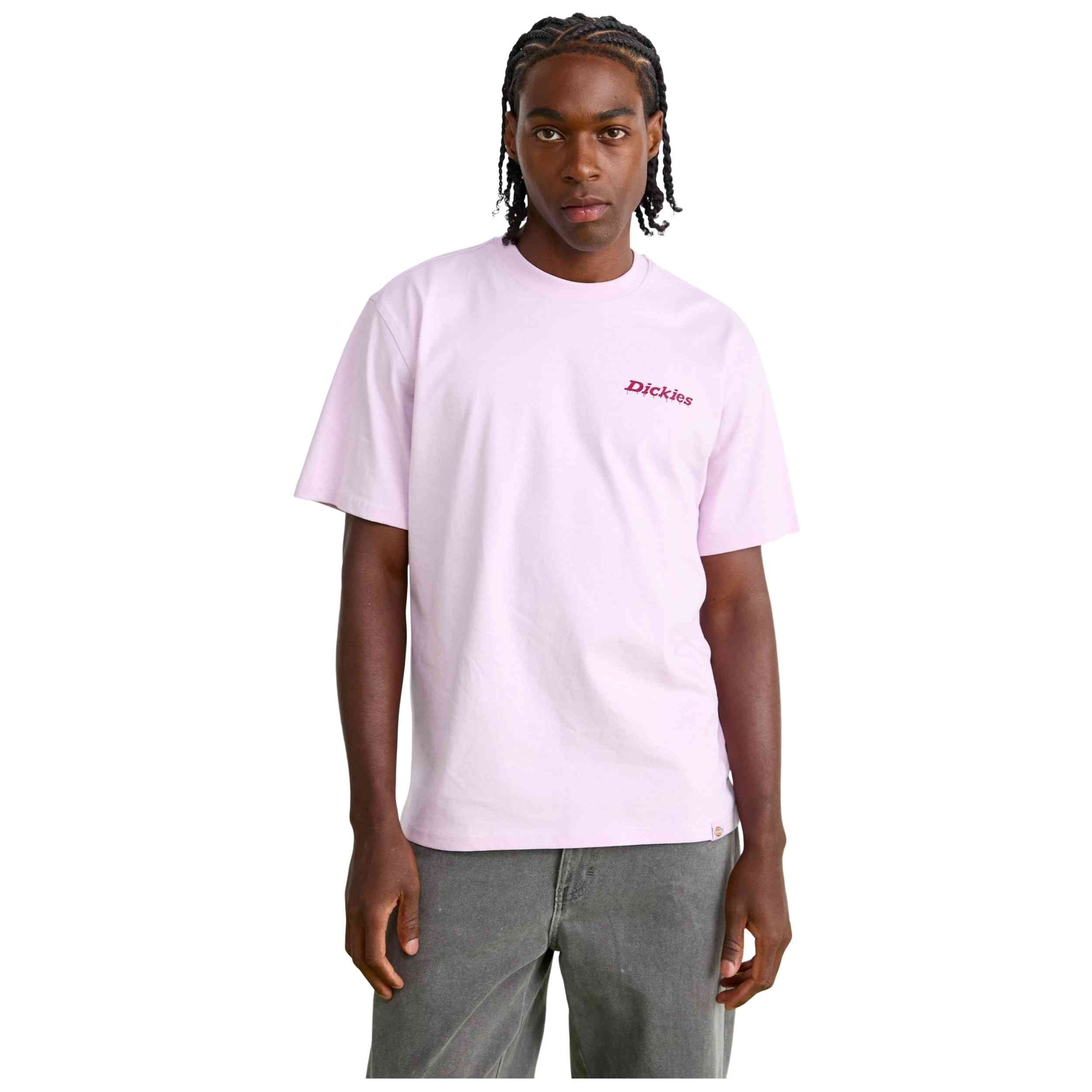 Imagen del producto con referencia DK0A87QPK731