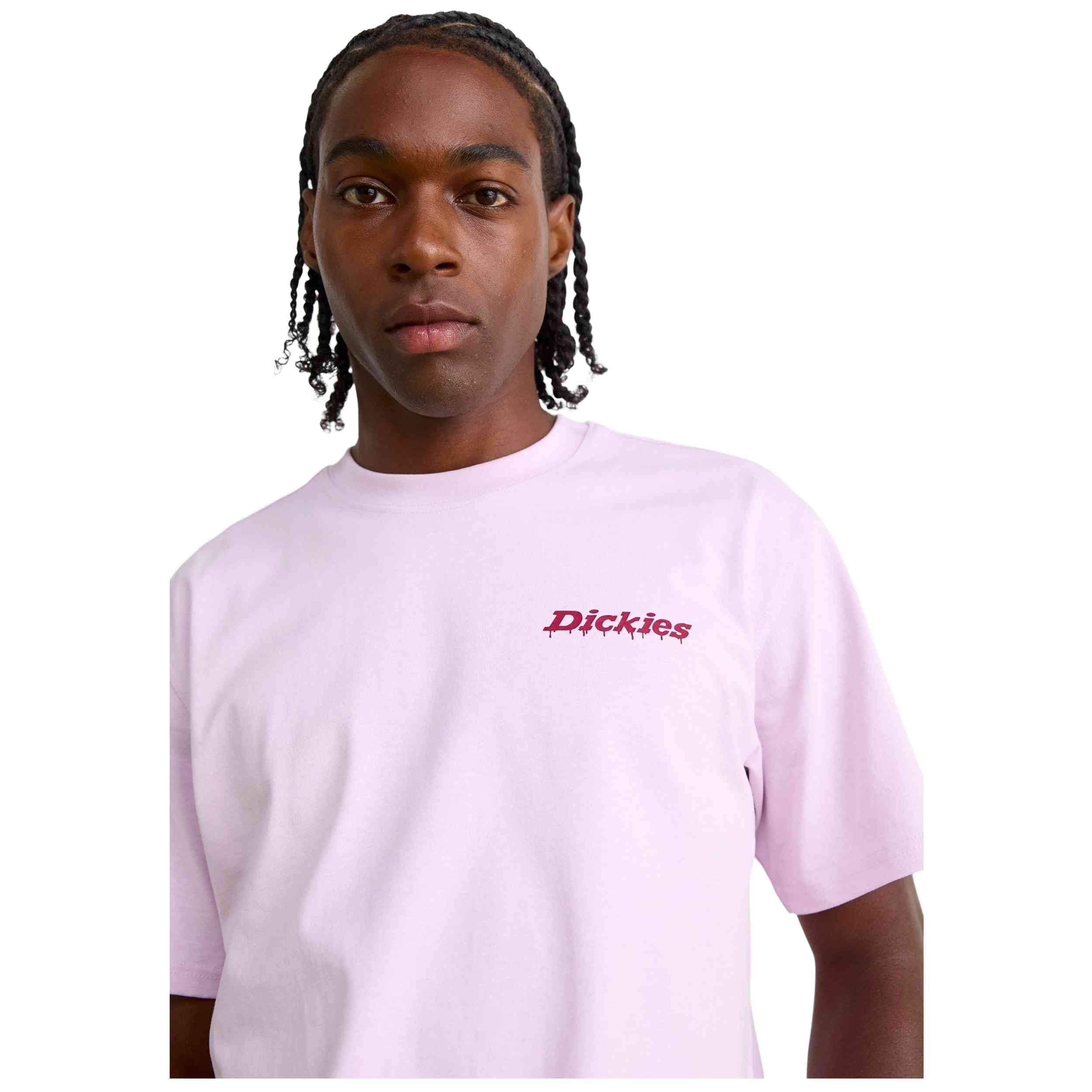 Imagen del producto con referencia DK0A87QPK731