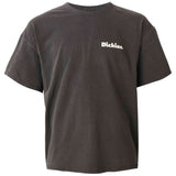 Camiseta De Manga Corta Dickies
