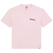 Imagen del producto con referencia DK0A87QRK731