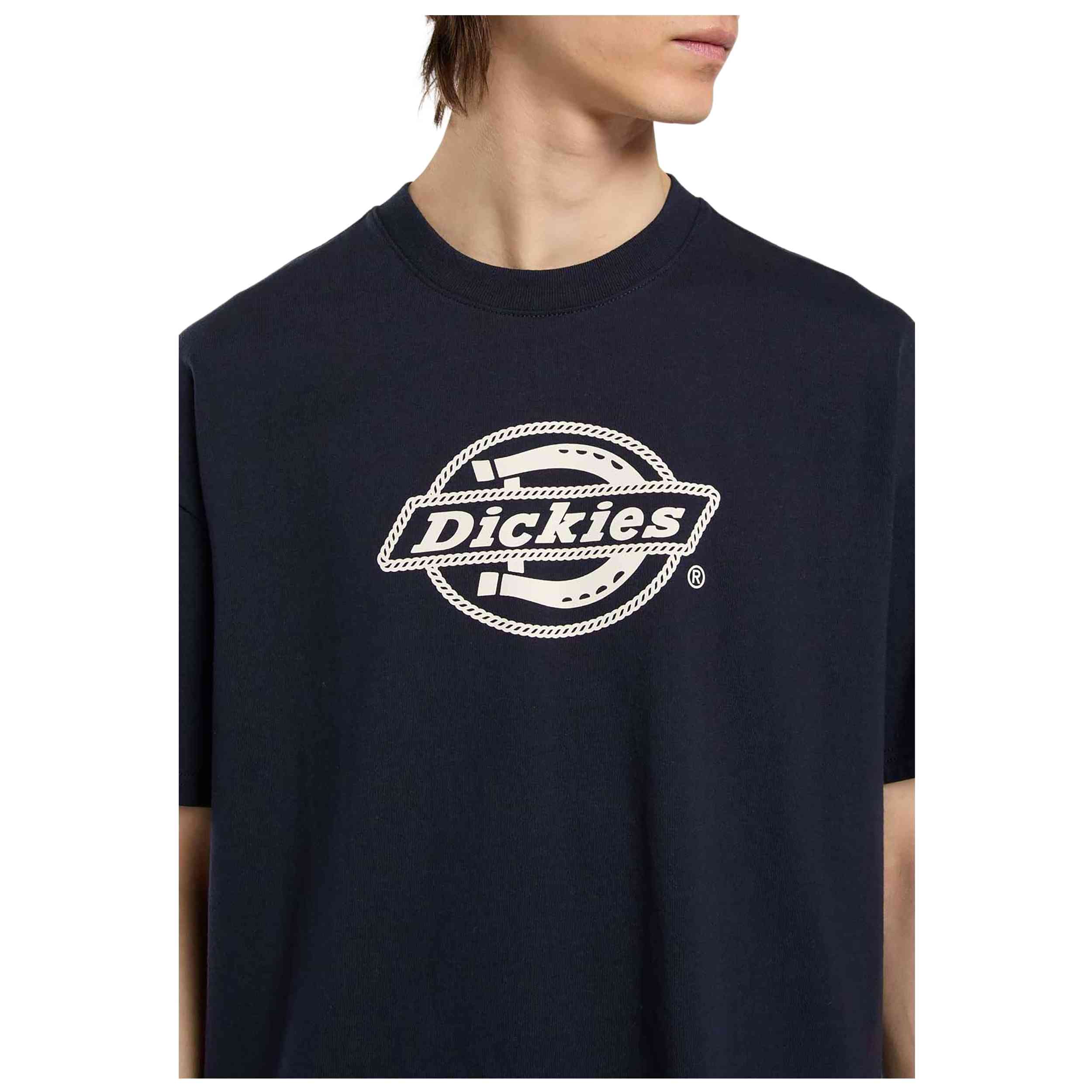 Imagen del producto con referencia DK0A87QSL181