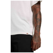 Imagen del producto con referencia DK0A87YLG481