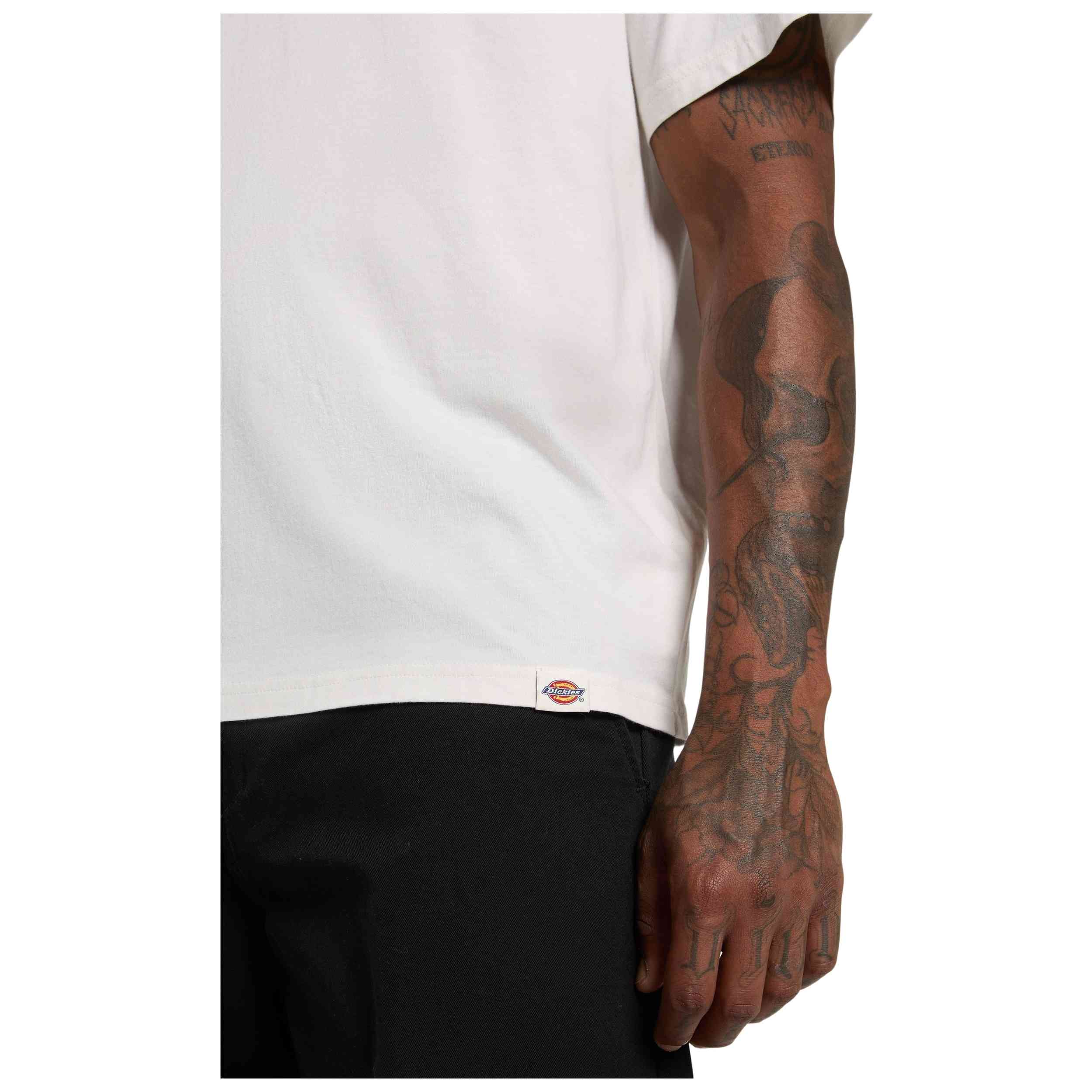 Imagen del producto con referencia DK0A87YLG481