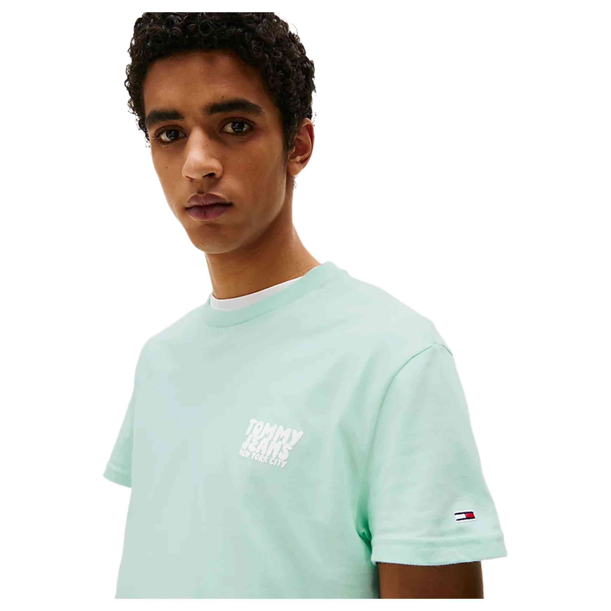 Camiseta De Manga Corta Tommy Hilfiger Dm0Dm21864L6V